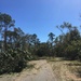 Conditions at Jim Woodruff Lock and Dam following Hurricane Michael