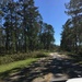 Conditions at Jim Woodruff Lock and Dam following Hurricane Michael