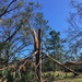 Conditions at Jim Woodruff Lock and Dam following Hurricane Michael