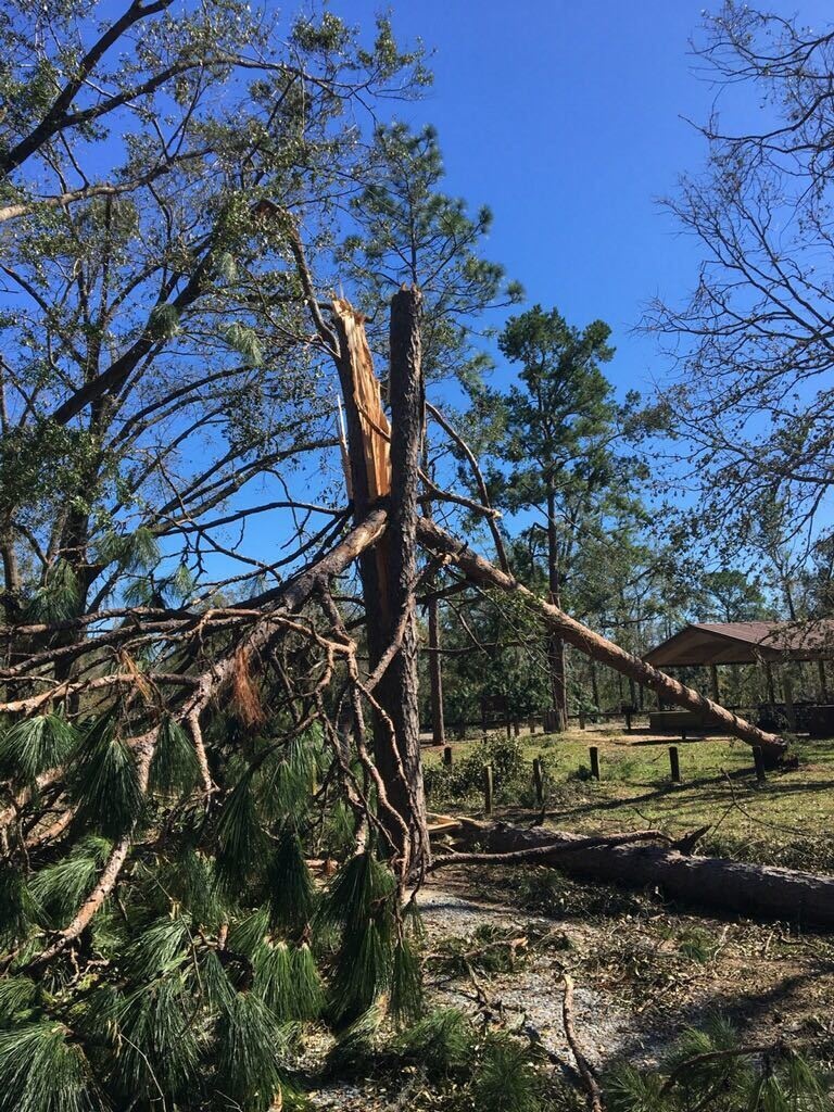 Conditions at Jim Woodruff Lock and Dam following Hurricane Michael