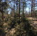 Conditions at Jim Woodruff Lock and Dam following Hurricane Michael