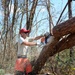 202nd REDHORSE clears debris after Hurricane Michael
