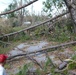 202nd REDHORSE clears debris after Hurricane Michael
