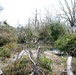 202nd REDHORSE clears debris after Hurricane Michael