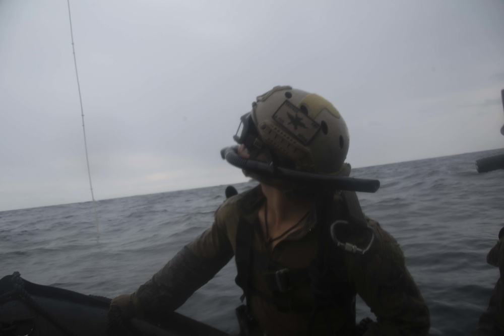 The 31st MEU’s Amphibious Reconnaissance Platoon practice Helocast aboard the Wasp