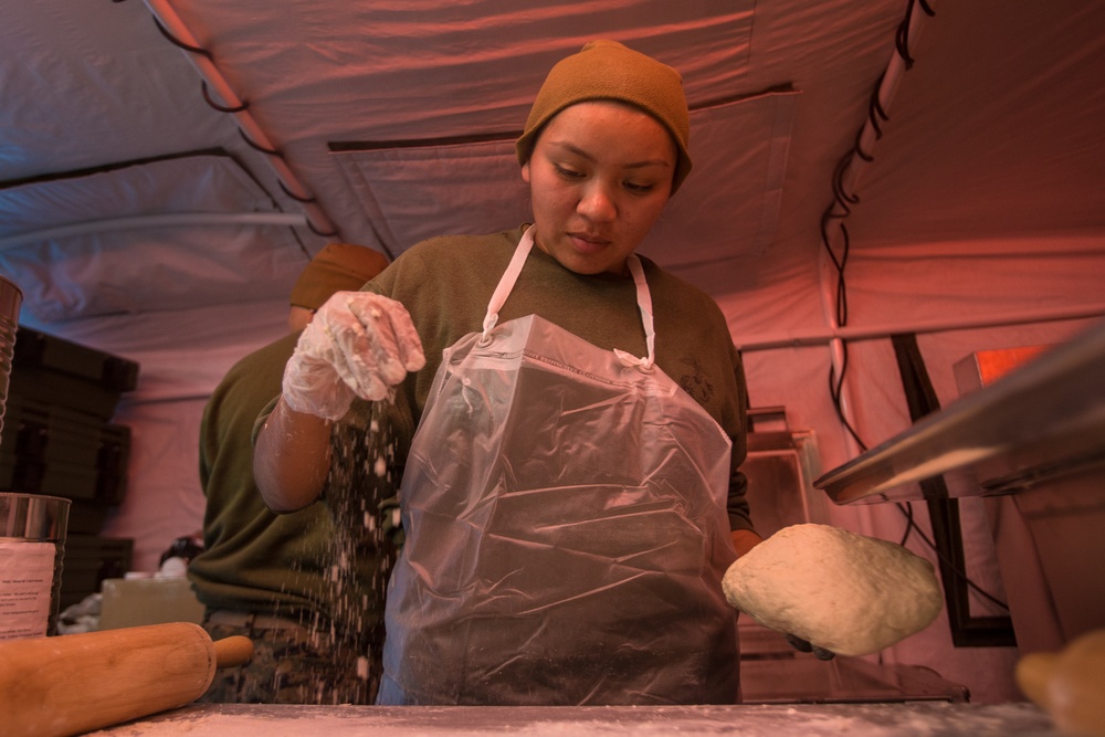 2nd MLG Marines Begin Cooking in Norway