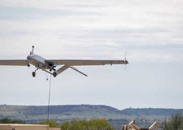 Black Jack's new shadow takes flight