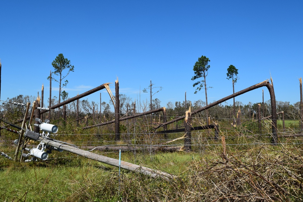 The Power of Hurricane Michael