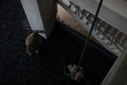 5th ANGLICO Marines Fast Rope