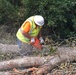 Route clearance work in Florida