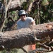 FLANG State Command Chief Jerry Gardner assists 202nd REDHORSE with route clearing after Hurricane Michael