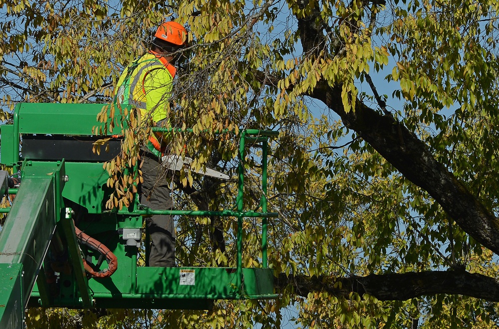 Base beautification in store for McChord