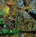 Base beautification in store for McChord