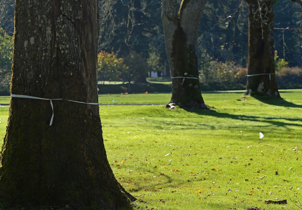 Base beautification in store for McChord