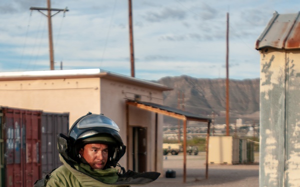 741st Ordnance Company (EOD) Team of the Year Competition