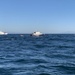 Coast Guard assists NOAA in response to entangled whale near Santa Cruz, Calif.