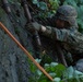 Koa Moana Rappels and Swims with the French Army