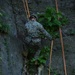 Koa Moana Rappels and Swims with the French Army