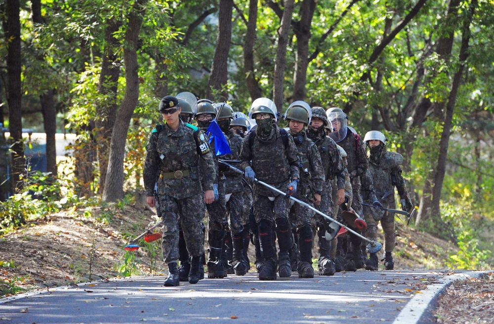 DMZ De-Mining Operations