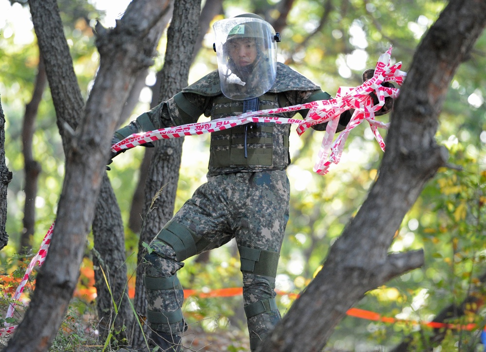 DMZ De-Mining Operations