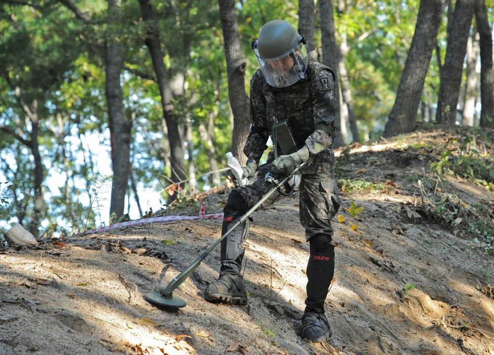 DMZ De-Mining Operations