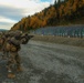 Norwegian Home Guard trains U.S. Marines on Weapons