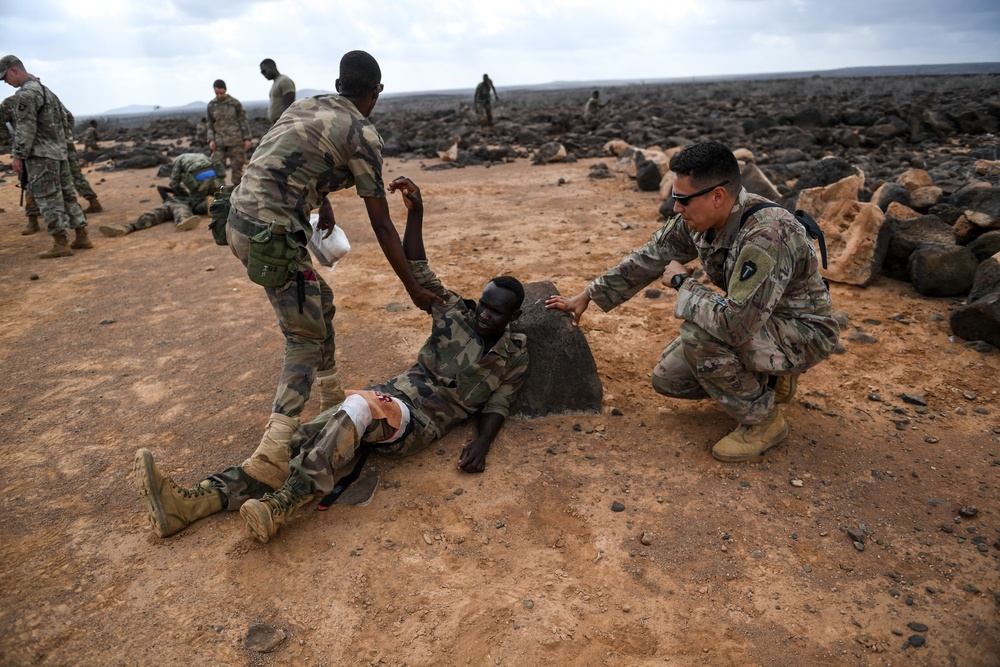 Advanced Combat Medical First Aid Course Culmination