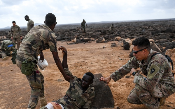 Advanced Combat Medical First Aid Course Culmination