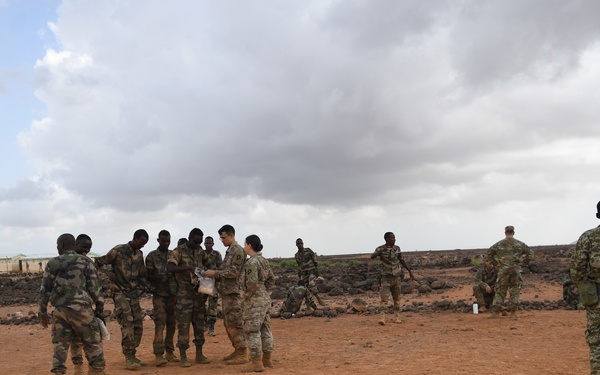 Advanced Combat Medical First Aid Course Culmination