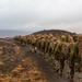 Marines conduct cold-weather training in Iceland