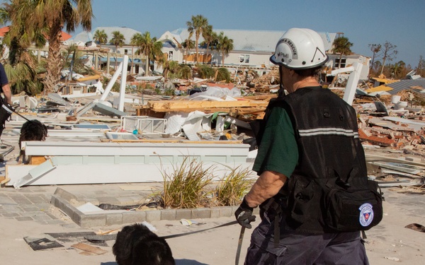 Urban search and rescue crews sitfs through debris of what used to be homes and businesses in Mexico Beach