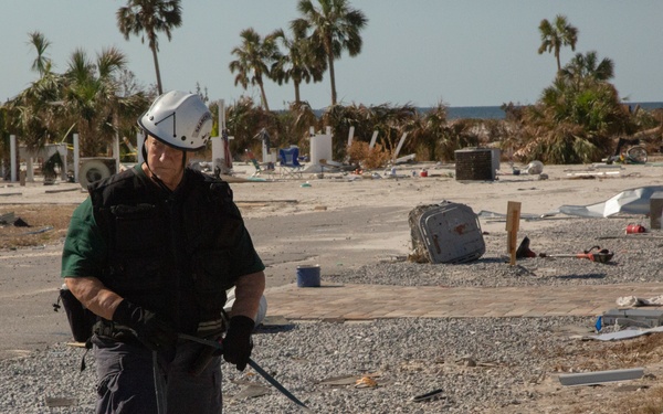 Urban search and rescue crews in Mexico Beach sifts through debris with a cadaver dog