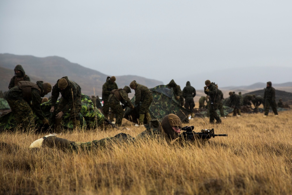 24th MEU conducts Icelandic cold weather training