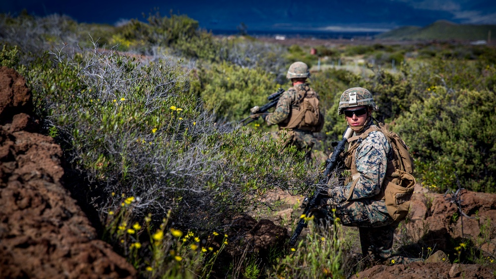 Americas Battalion conducts squad attacks