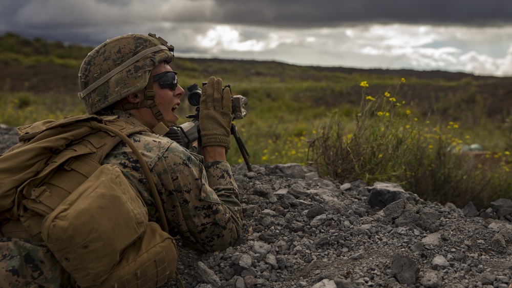 Americas Battalion conducts squad attacks