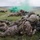 1st Battalion, 143rd Infantry Regiment - Company LFX