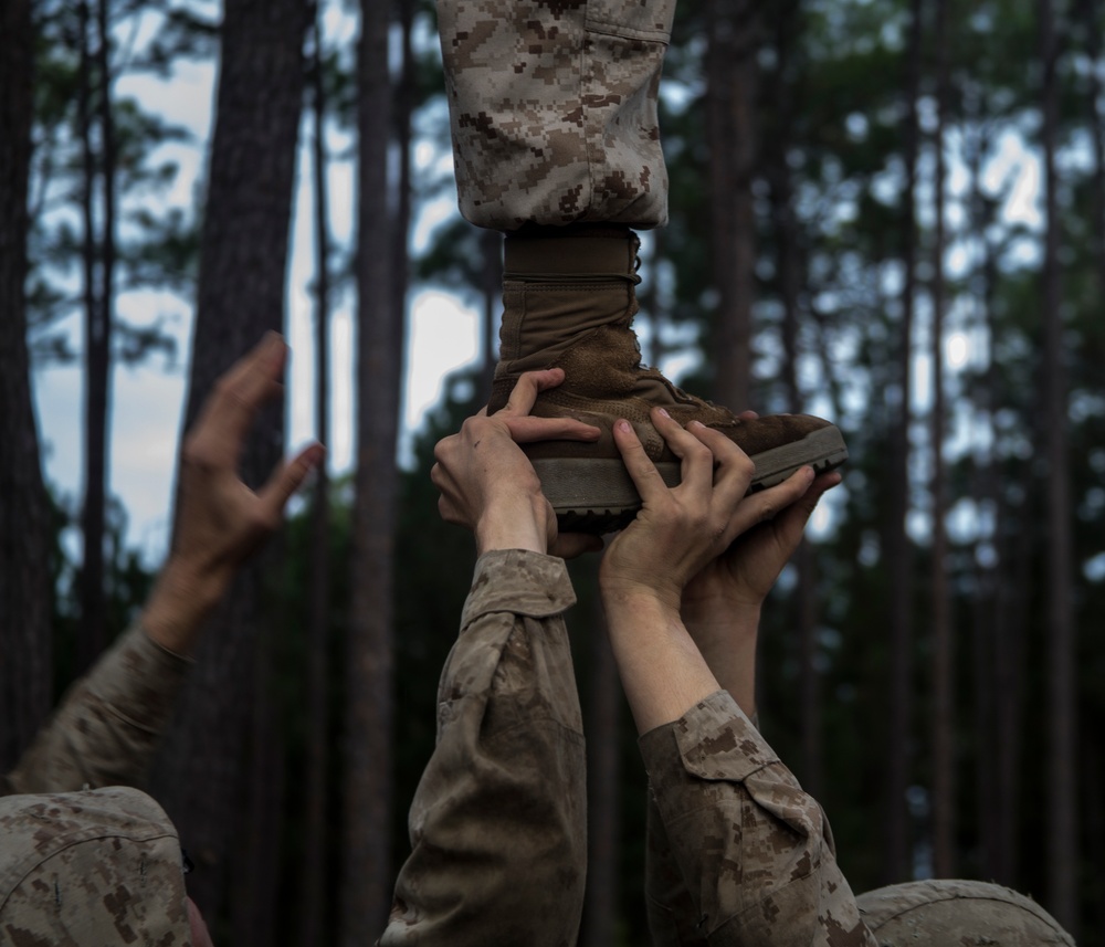 Mike Company Crucible