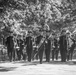 Commander of the Royal Canadian Air Force Lt. Gen. Al Meinzinger Participates in an Air Force Full Honors Wreath-Laying at the Tomb of the Unknown Soldier