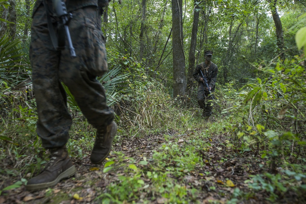 MARFORRES Marines evaluate NROTC Midshipmen