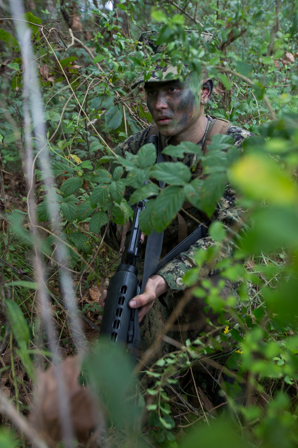 MARFORRES Marines evaluate NROTC Midshipmen