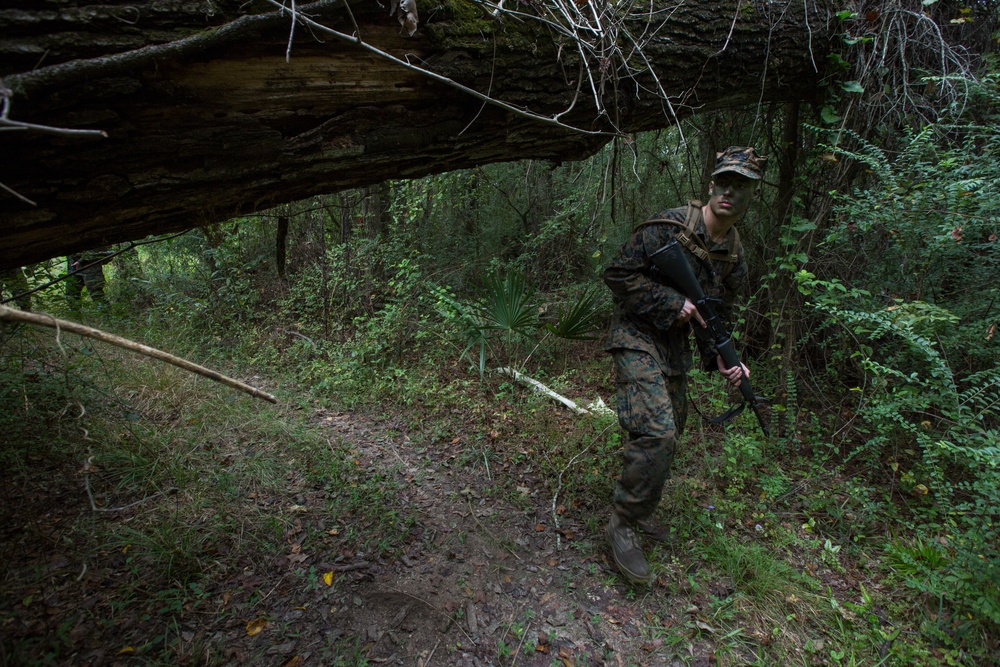 MARFORRES Marines evaluate NROTC Midshipmen