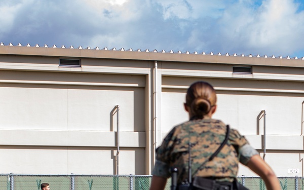 Biting Bad; military working dogs handlers  train at MCAS Iwakuni