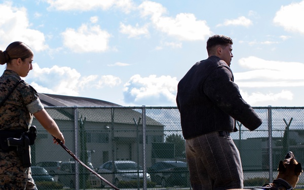 Biting Bad; military working dogs handlers  train at MCAS Iwakuni