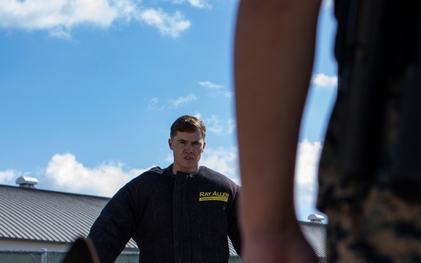 Biting Bad; military working dogs handlers  train at MCAS Iwakuni