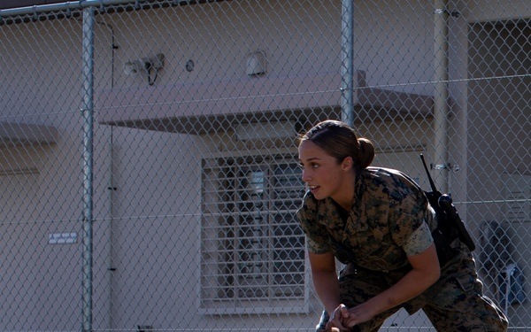 Biting Bad; military working dogs handlers  train at MCAS Iwakuni