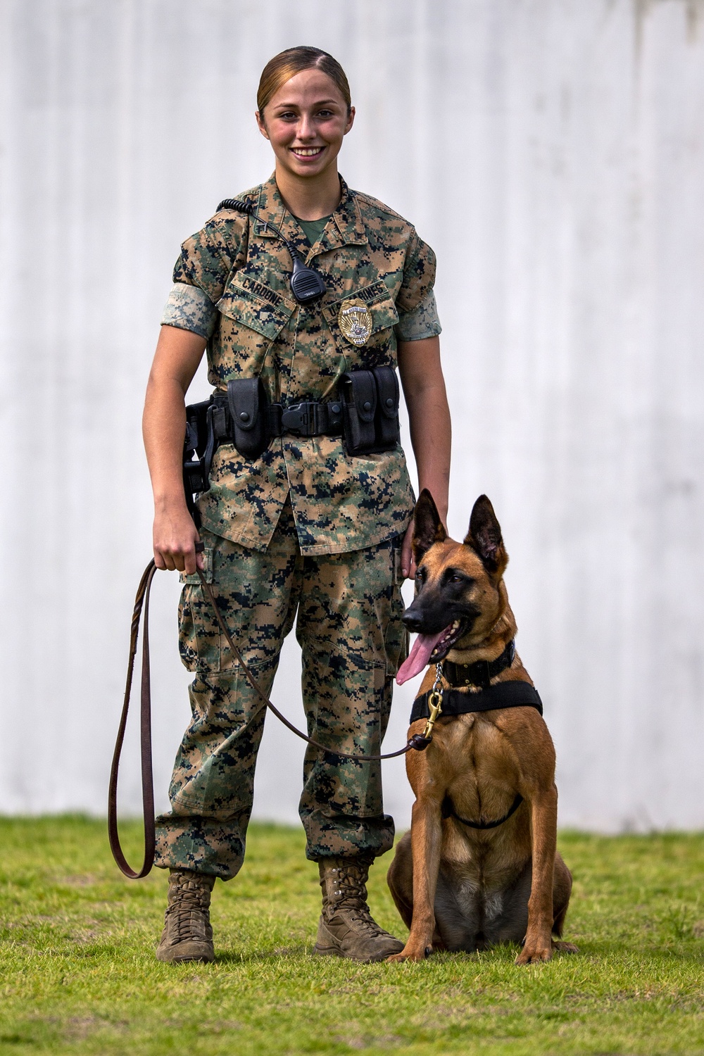 Biting Bad; military working dogs handlers  train at MCAS Iwakuni