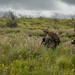 America's Battalion conducts platoon attacks