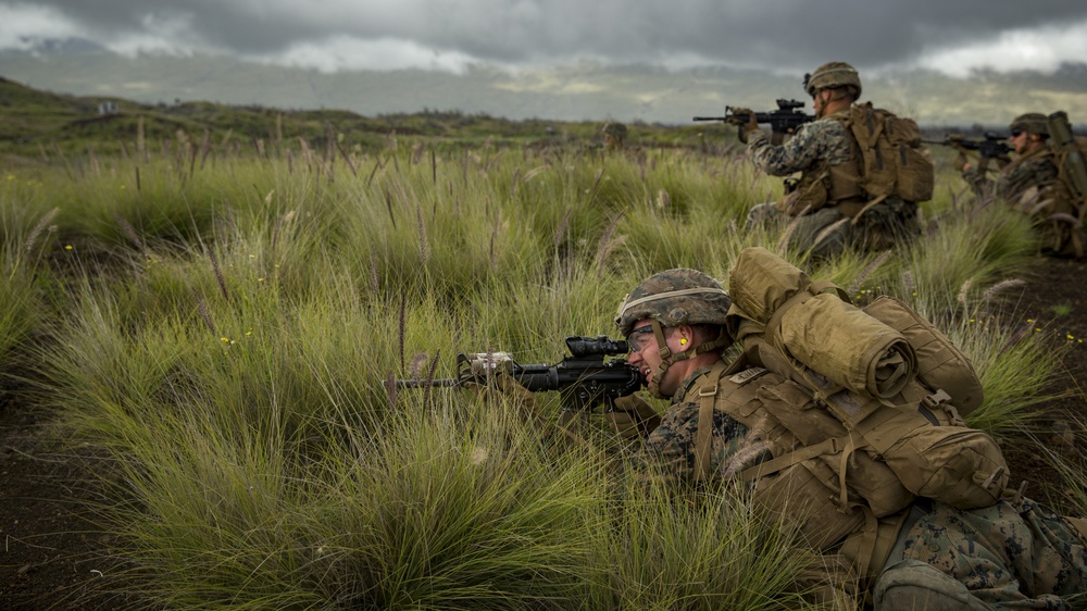 America's Battalion conducts platoon attacks