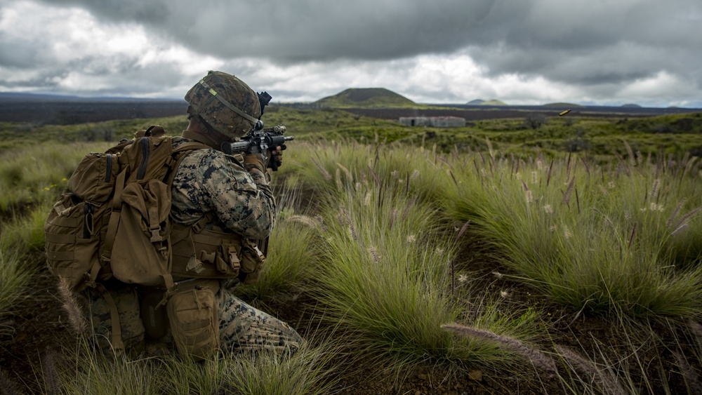 America's Battalion conducts platoon attacks