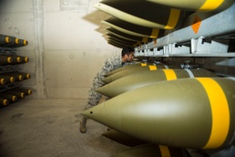 Ramstein Receives Massive Ammo Shipment